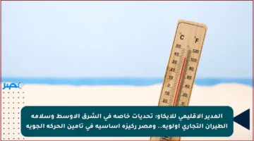 المدير الإقليمي للإيكاو: تحديات خاصة في الشرق الأوسط وسلامة الطيران التجاري أولوية.. ومصر ركيزة أساسية في تأمين الحركة الجوية